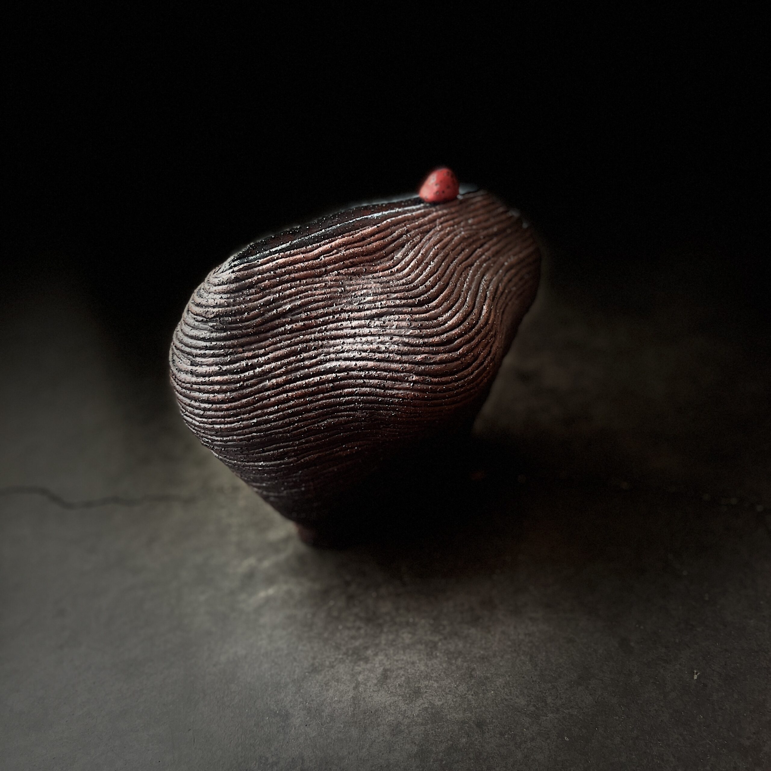 Te Kete Aronui