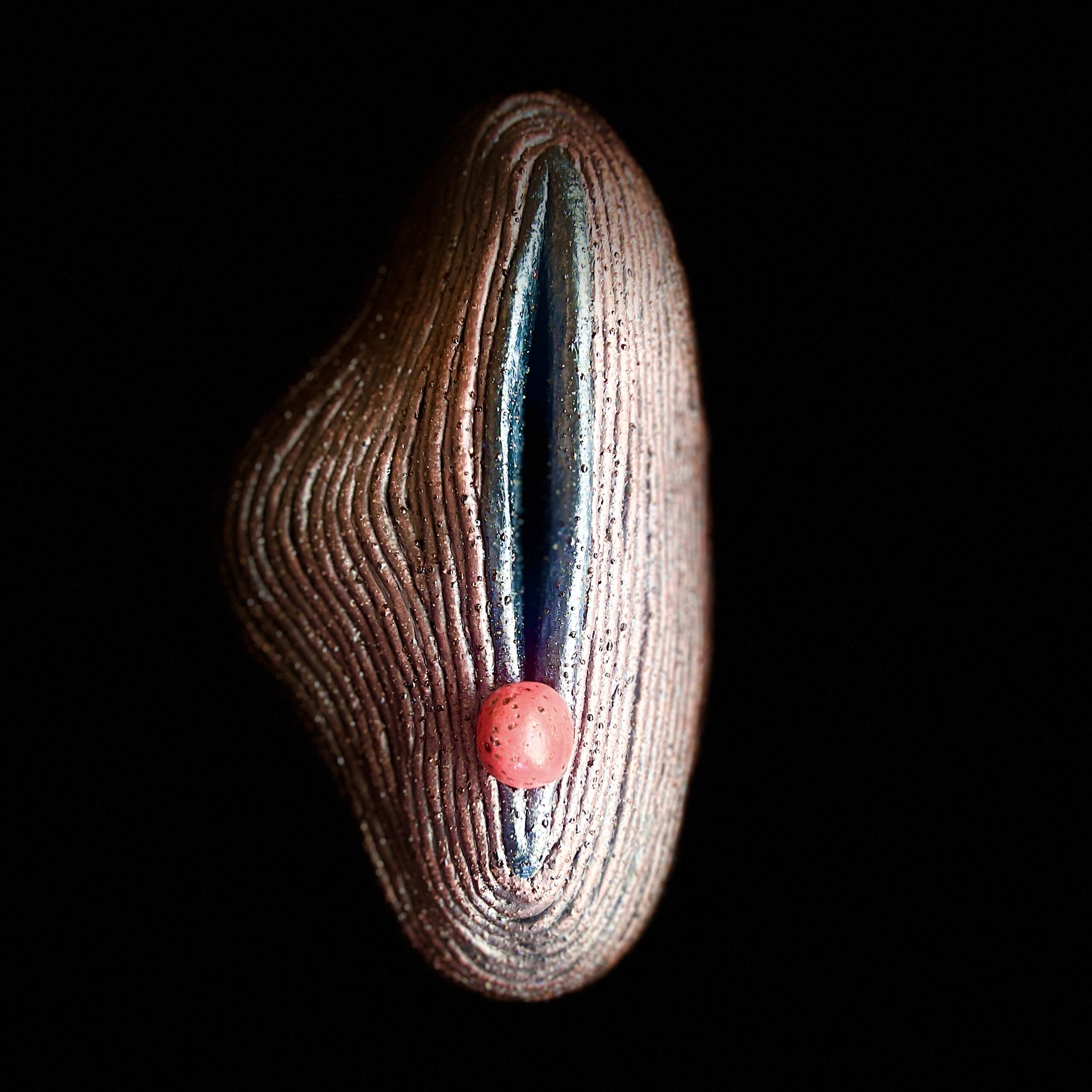 Te Kete Aronui